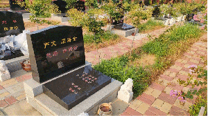 殿東006碑